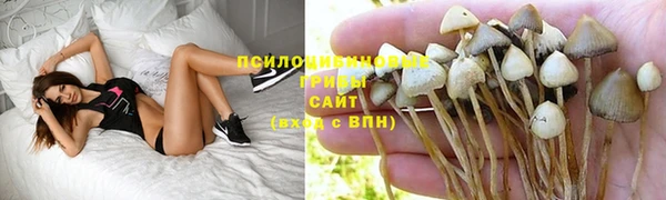 кокаин премиум Богданович
