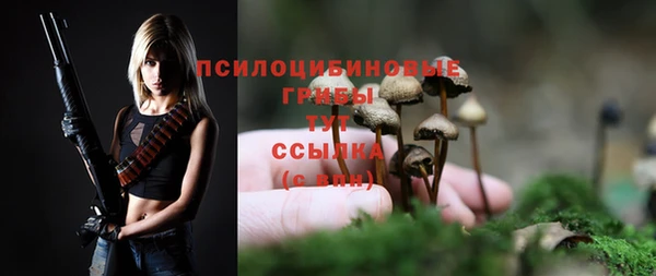 кокаин премиум Богданович