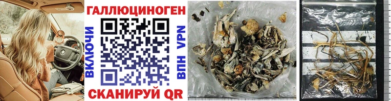 МЕГА   Игра  Галлюциногенные грибы Psilocybine cubensis 