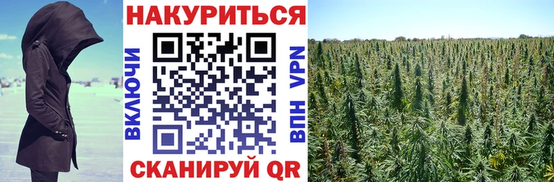 МАРИХУАНА LSD WEED  наркотики  Игра 